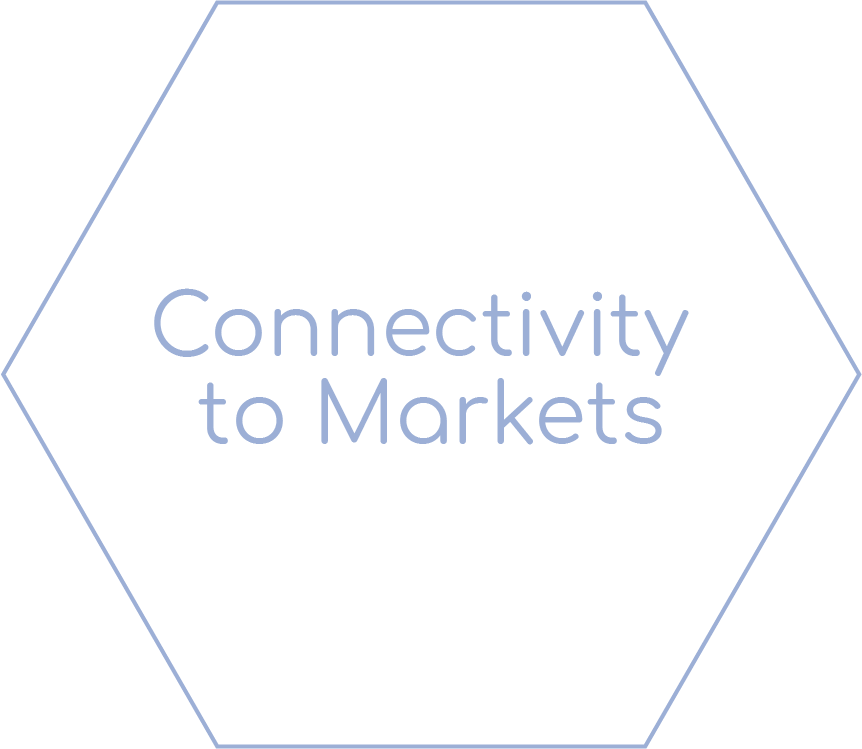 Connectivity to Markets