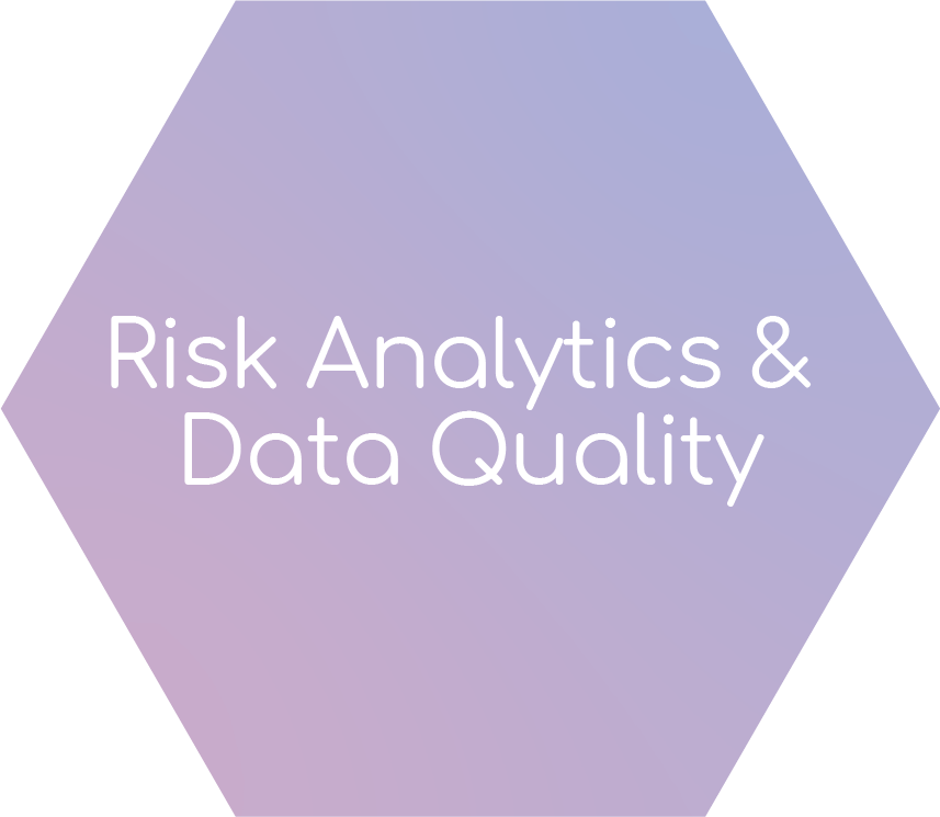 Risk Analytics & Data Quality