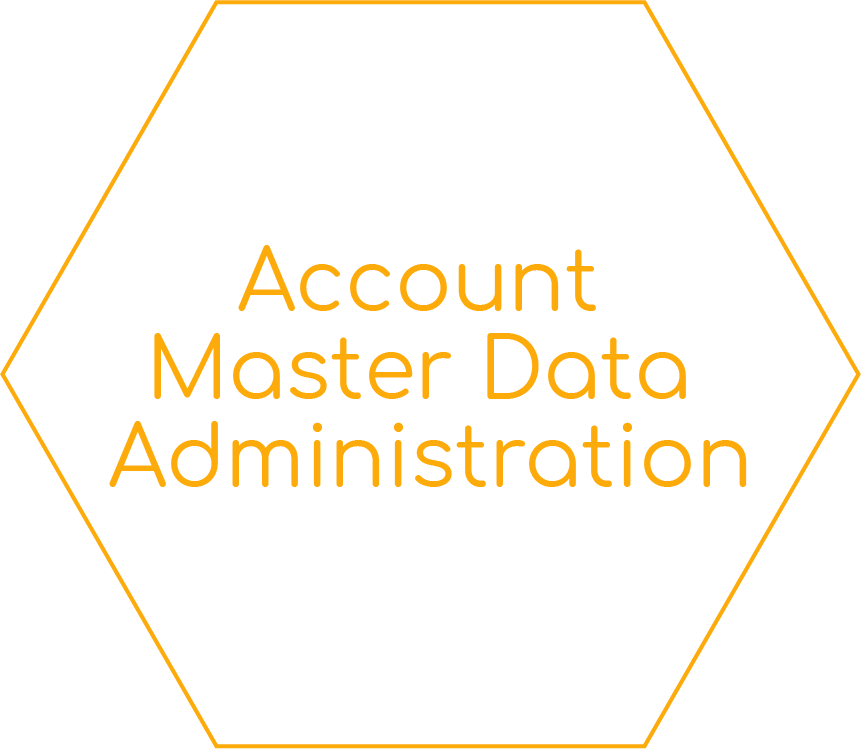 Account Master Data Administration