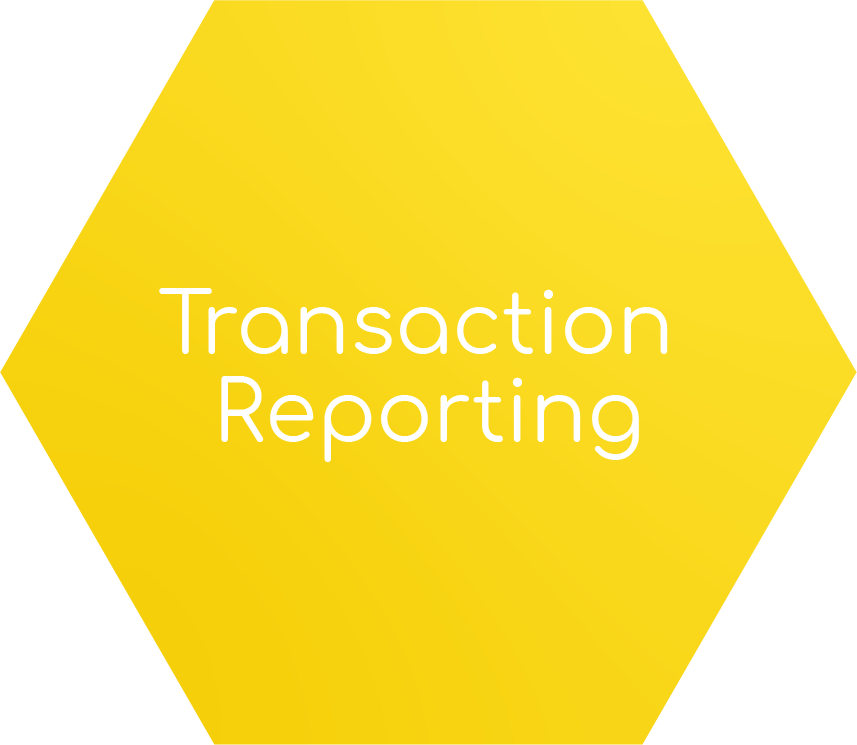 Transaction Reporting